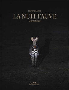 couverture du livre La Nuit Fauve. Dans la nuit un zèbre nous regarde