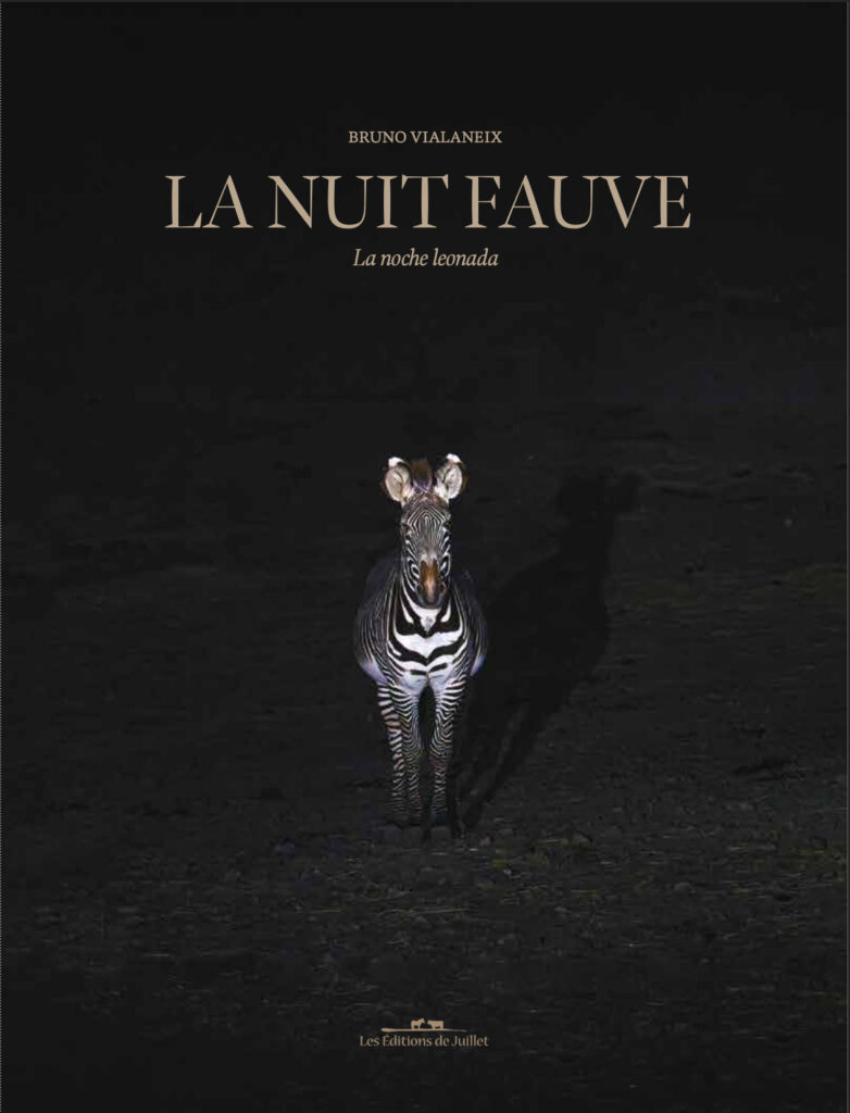 couverture du livre La Nuit Fauve. Dans la nuit un zèbre nous regarde